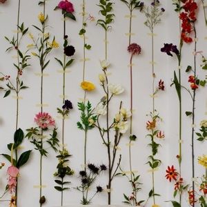 Meet your Posher, Elise